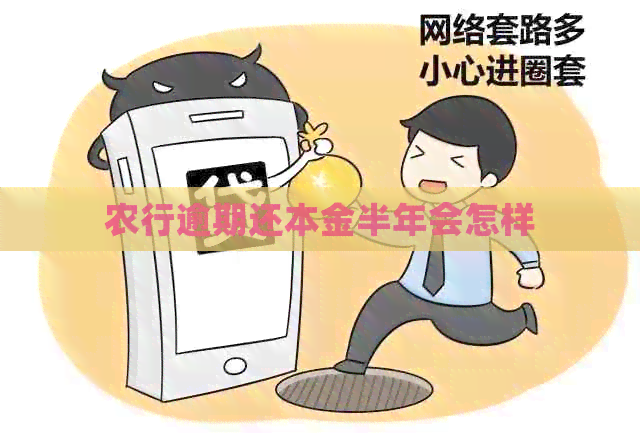 农行逾期还本金半年会怎样