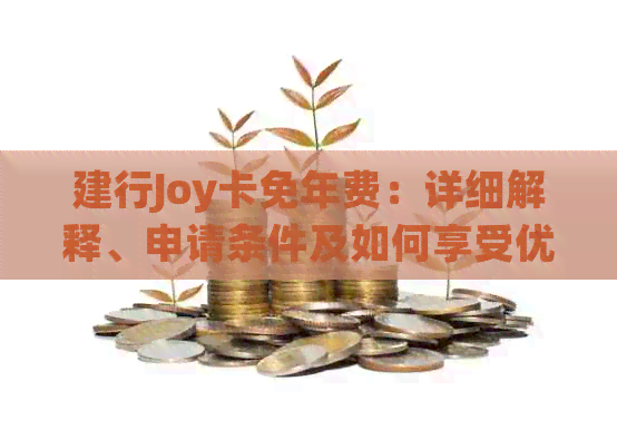 建行Joy卡免年费：详细解释、申请条件及如何享受优