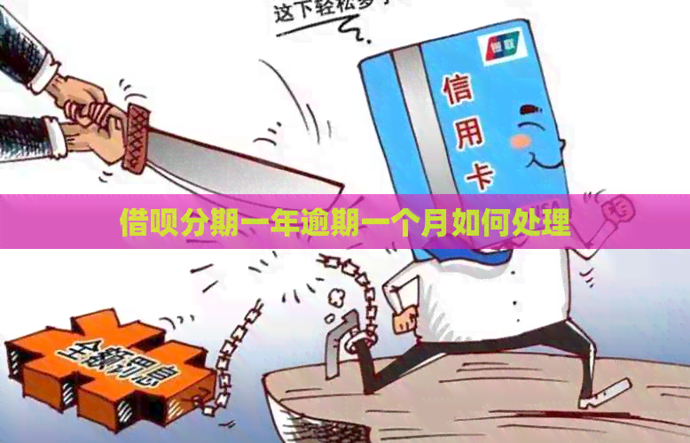 网贷分期一年逾期一个月如何处理