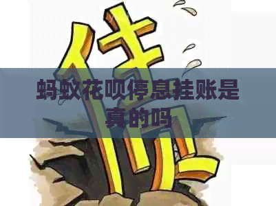 蚂蚁信用卡停息挂账是真的吗