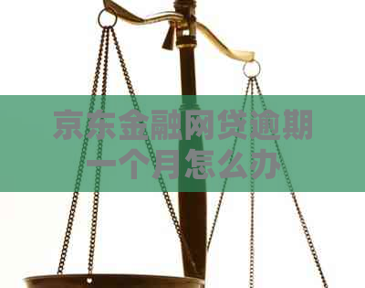 京东金融网贷逾期一个月怎么办
