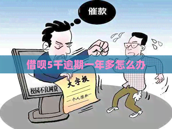 网贷5千逾期一年多怎么办