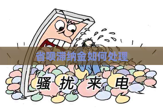 省呗滞纳金如何处理