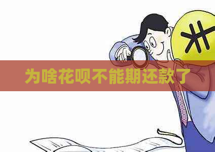 为啥信用卡不能期还款了