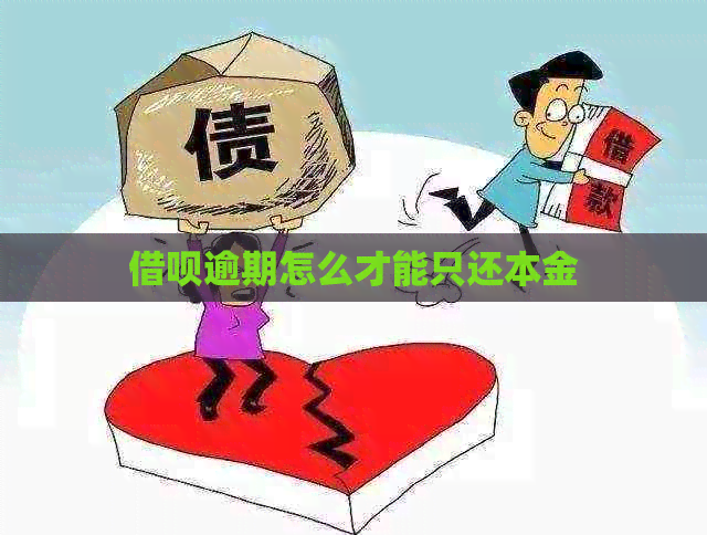 网贷逾期怎么才能只还本金