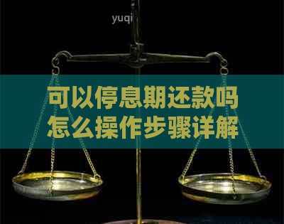 可以停息期还款吗怎么操作步骤详解