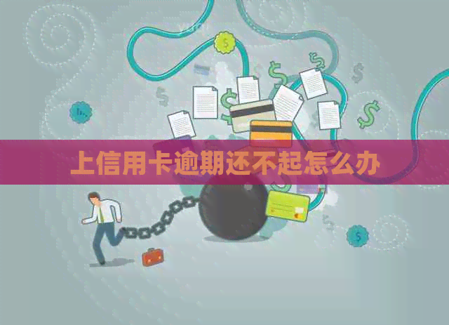 上信用卡逾期还不起怎么办