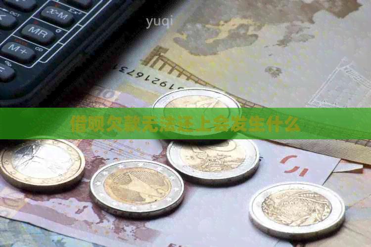网贷欠款无法还上会发生什么
