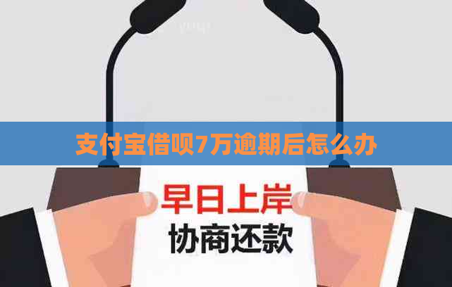 支付宝网贷7万逾期后怎么办