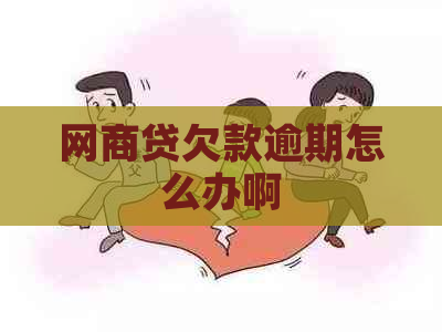 网贷欠款逾期怎么办啊