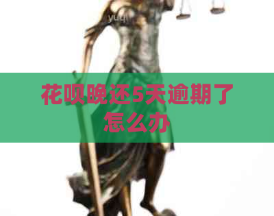 信用卡晚还5天逾期了怎么办