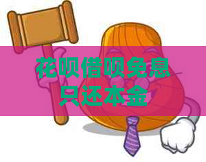 信用卡网贷免息只还本金