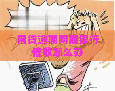 网贷逾期银行信用卡怎么办