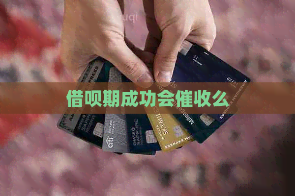 网贷期成功会么