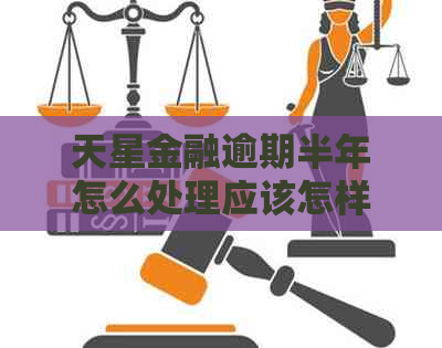 天星金融逾期半年怎么处理应该怎样解决