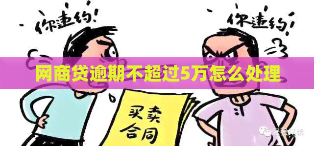 网贷逾期不超过5万怎么处理