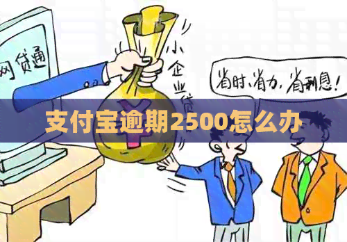 支付宝逾期2500怎么办