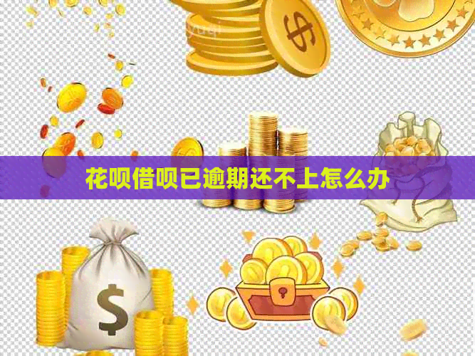 信用卡网贷已逾期还不上怎么办