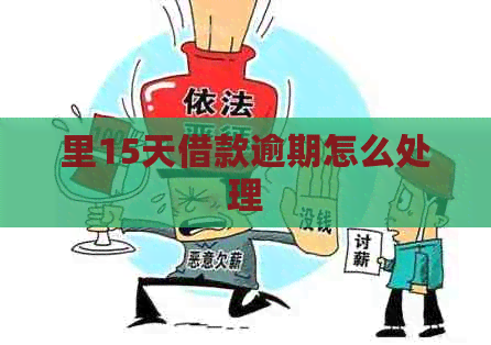里15天借款逾期怎么处理