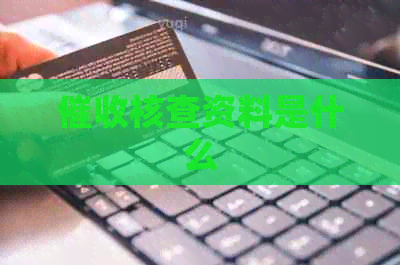 核查资料是什么