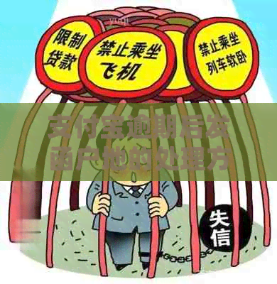 支付宝逾期后发函户地的处理方法