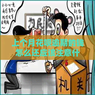 上个月信用卡逾期的钱怎么还应该注意什么