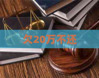 欠20万不还