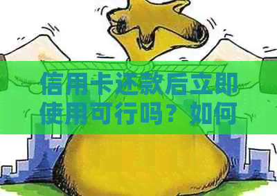 信用卡还款后立即使用可行吗？如何操作？