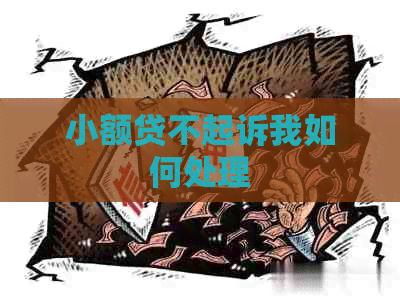 小额贷不起诉我如何处理