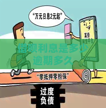 网贷利息是多少逾期多久