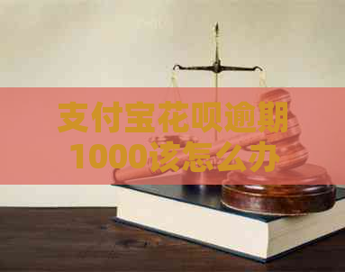 支付宝信用卡逾期1000该怎么办