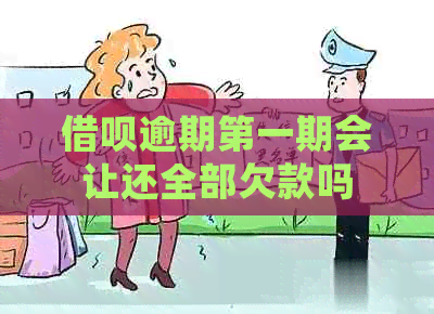 网贷逾期之一期会让还全部欠款吗