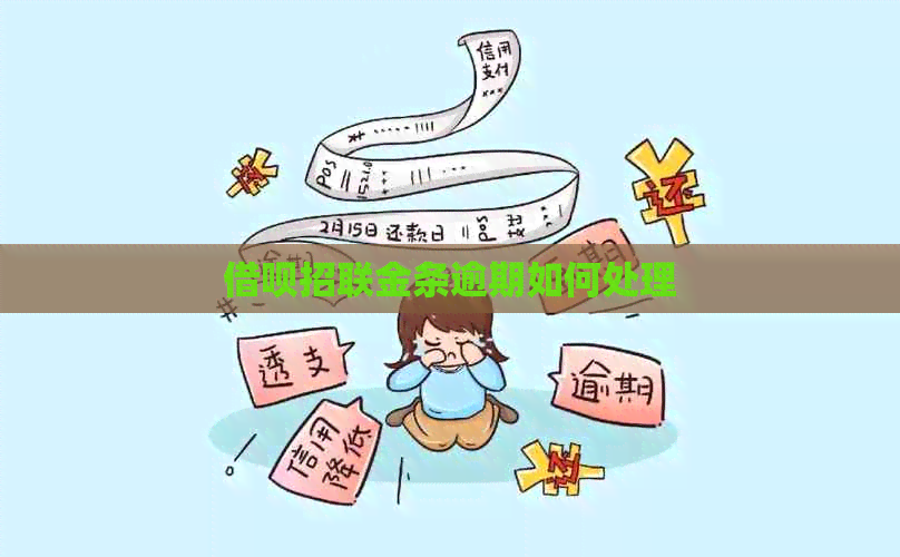 网贷招联金条逾期如何处理