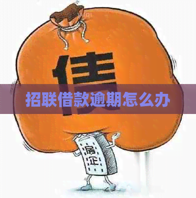 招联借款逾期怎么办
