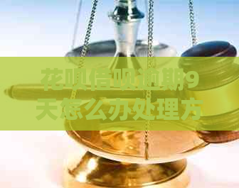信用卡网贷逾期9天怎么办处理方式