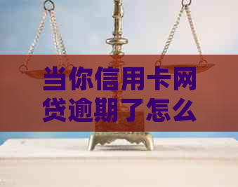 当你信用卡网贷逾期了怎么处理
