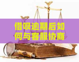 网贷逾期后如何与客服协商还款问题