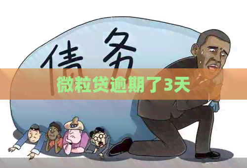微粒贷逾期了3天