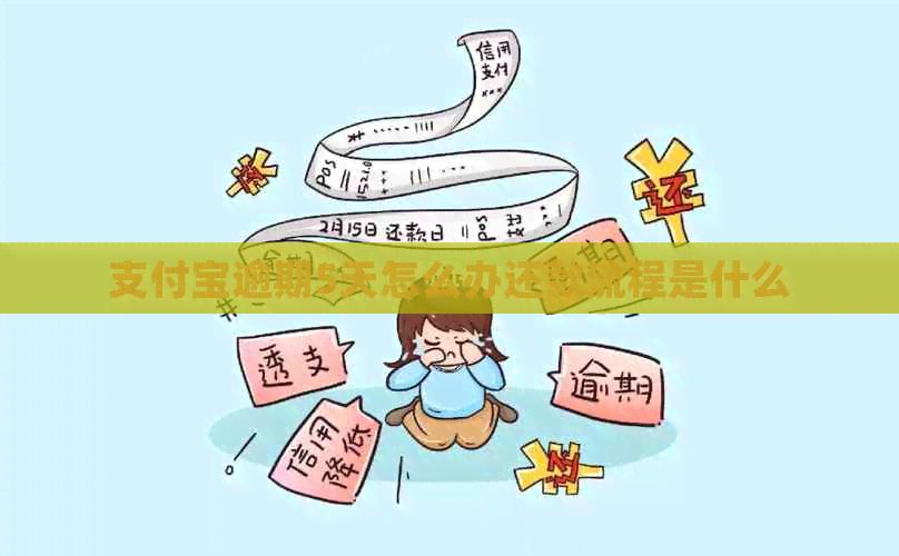 支付宝逾期5天怎么办还款流程是什么 支付宝逾期5天怎么办还款流程是什么