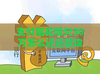 支付宝信用卡欠30万怎么还还款攻略