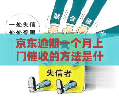 京东逾期一个月上门的方法是什么