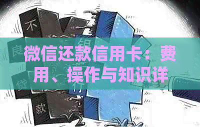 微信还款信用卡：费用、操作与知识详解