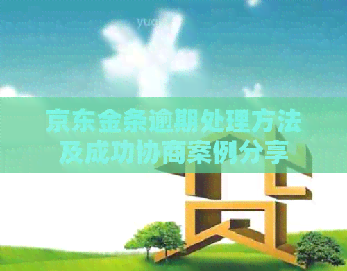 京东金条逾期处理方法及成功协商案例分享