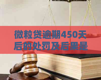 微粒贷逾期450天后的处罚及后果是什么