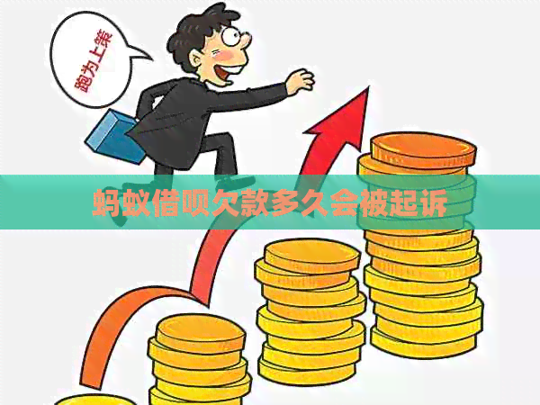 蚂蚁网贷欠款多久会被起诉