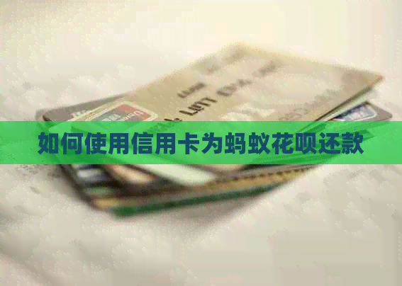 如何使用信用卡为蚂蚁信用卡还款