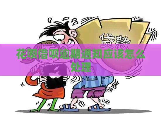 信用卡网贷逾期通知应该怎么处理