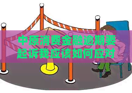 中原消费金融逾期要起诉我应该如何应对