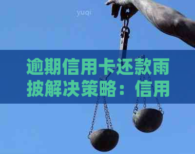 逾期信用卡还款雨披解决策略：信用修复与代偿处理全解析