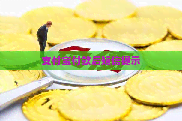 支付宝付款后短信提示